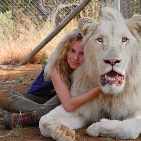 Το κορίτσι και το λιοντάρι (Mia and the White Lion)