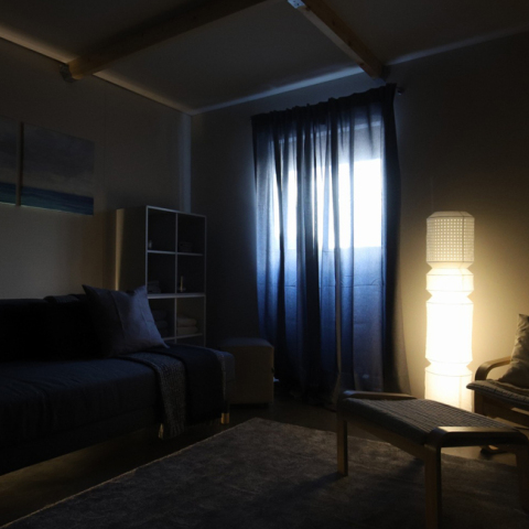 Novartis, Μίλα για την ημικρανία σου, «Δωμάτιο του ασθενή με ημικρανία»