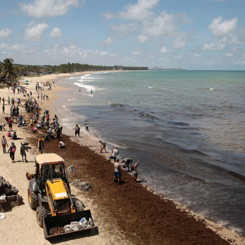 Πετρελαιοκηλίδα στις ακτές της Βραζιλίας