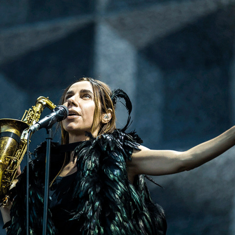 PJ Harvey