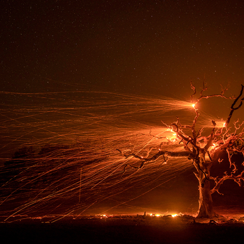 Η πυρκαγιά με το όνομα Kincade