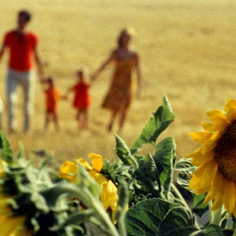 Από την ταινία "Le bonheur" της Agnes Varda