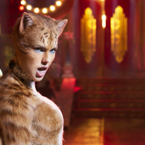 cats_movie_1.jpg