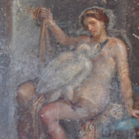 Νωπογραφία Λήδας και Δία στην Πομπηία 