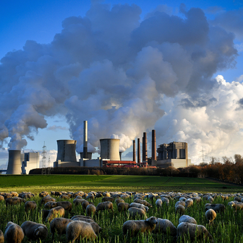 Εκπομπές διοξειδίου του άνθρακα