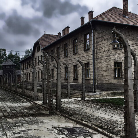 auschwitz