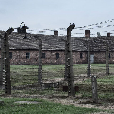 auschwitz