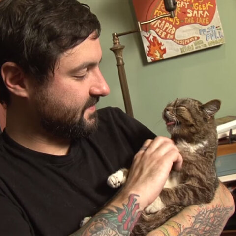 lil-bub1