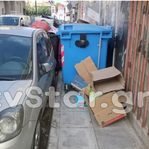 Οδηγός στη Χαλκίδα έβαλε τους κάδους στο πεζοδρόμιο για να παρκάρει