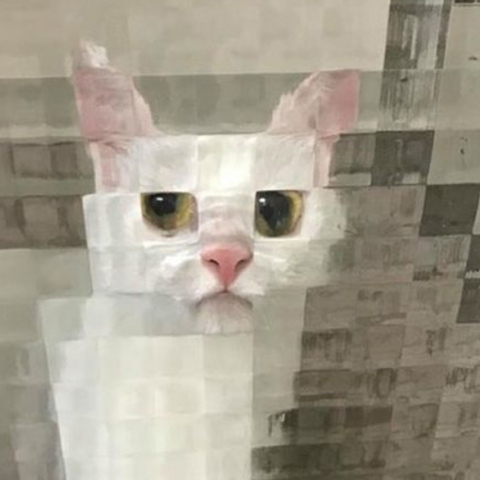 pixelated-cats1.jpg