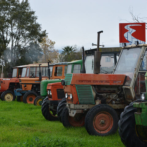 trakter-platykampos1