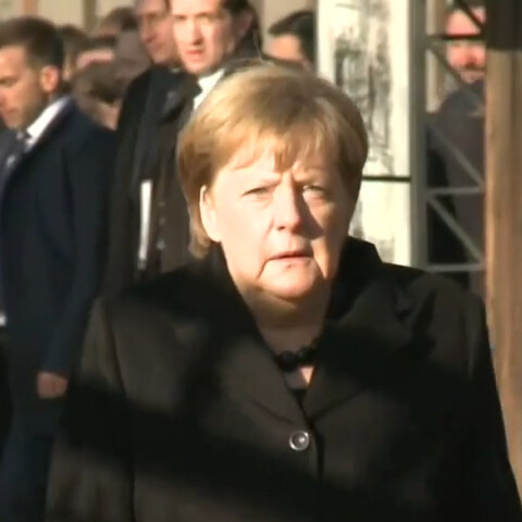 merkel-auschwitz_