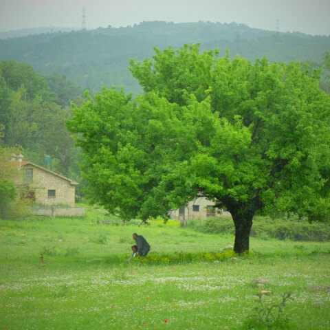 Ένη Κούκουλα «Κρυφός κήπος», Βιβλιοπωλείο – Αίθουσα Τέχνης Φωταγωγός