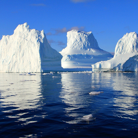 iceberg-471549_1920