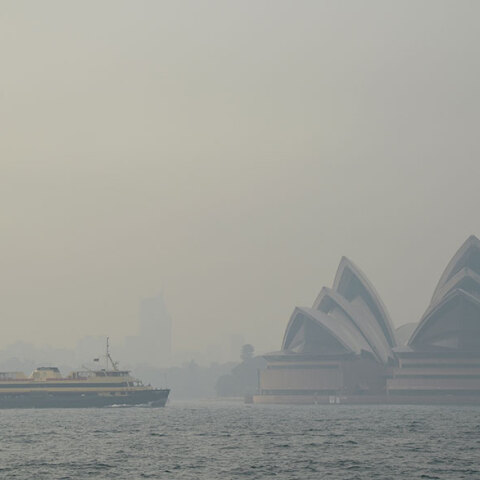 Πυκνός καπνός από τις πυρκαγιές έχει καλύψει τα πάντα στο Σίδνεϊ