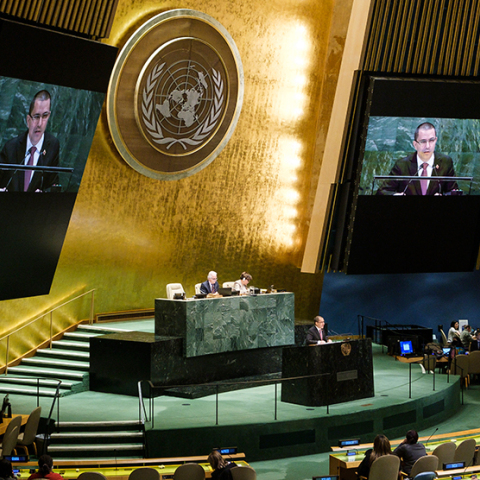 Οργανισμός Ηνωμένων Εθνών 