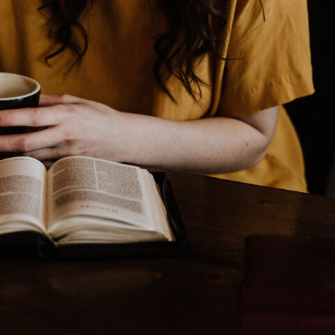 reading, book, woman