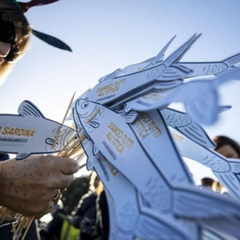 sardina.jpg