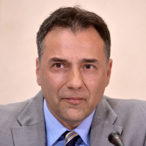 ΘΟΔΩΡΗΣ ΠΕΛΑΓΙΔΗΣ ΚΑΘΗΓΗΤΗΣ ΠΑΝΕΠΙΣΤΗΜΙΟΥ