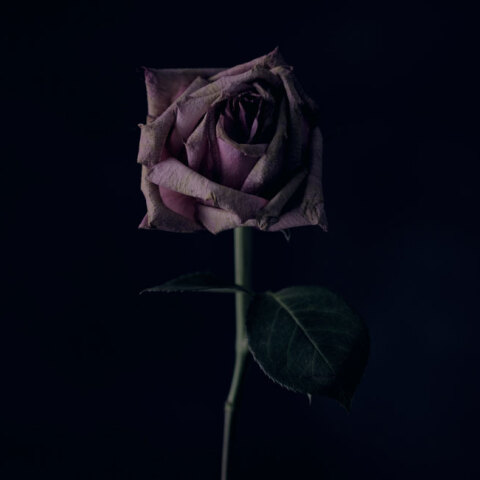 © Sharon McCutcheon on Unsplash