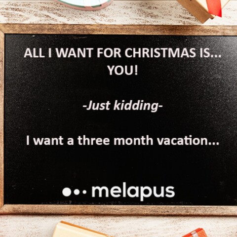 all-i-want-for-christmas-melapus.jpg