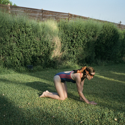 Kinodontas Lanthimos.jpg