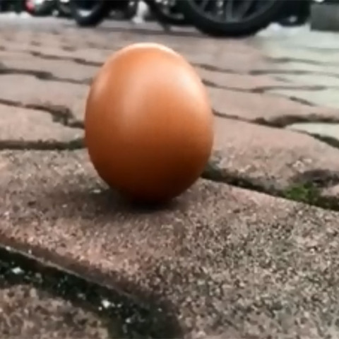 egg.jpg