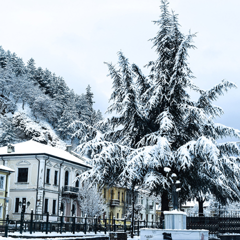 Χιονισμένη Φλώρινα 