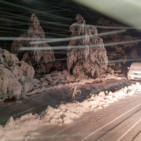 Χιονόπτωση