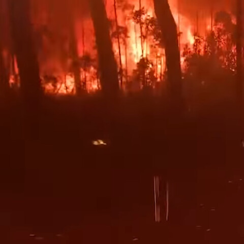 fires-australia