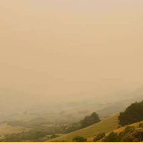 Νέα Ζηλανδία