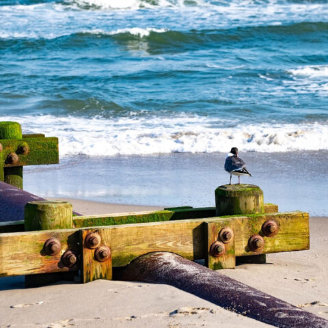 Υποθαλάσσιος αγωγός