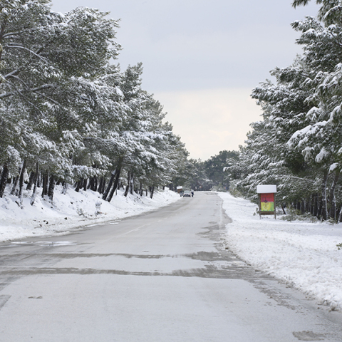 Στα «λευκά» η Μυτιλήνη