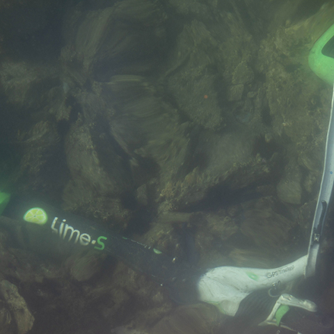 Ηλεκτρικά πατίνια στον Θερμαϊκό