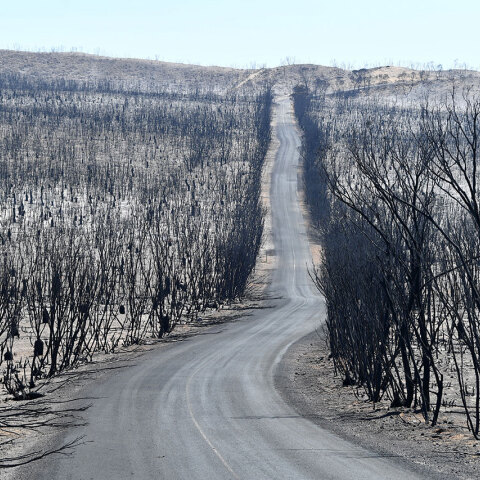 Καμένη γη στην Αυστραλία