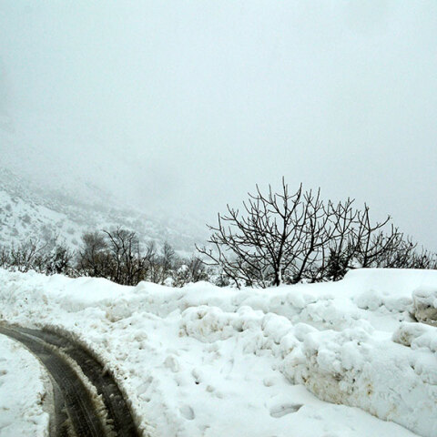 Χιόνια στην Εύβοια