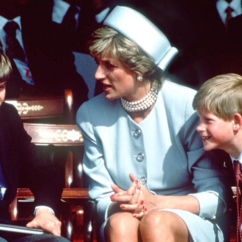 Πριγκίπισσα Νταϊάνα, Χάρι και Ουίλιαμ