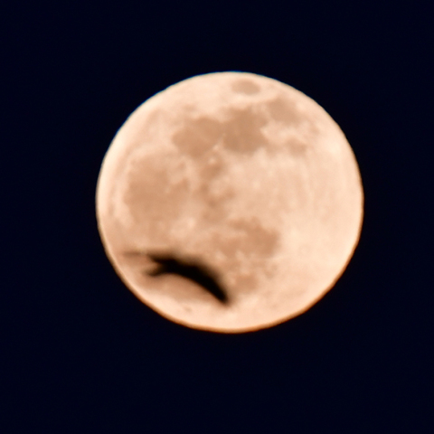 Πρώτη πανσέληνος του έτους στο Ναύπλιο 