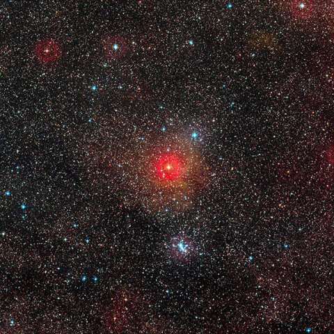 betelgeuse
