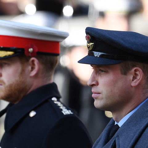 Πρίγκιπας Ουίλιαμ και πρίγκιπας Χάρι