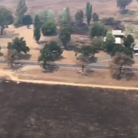 Φονικές πυρκαγιές στην Αυστραλία: Παντού καμένη γη