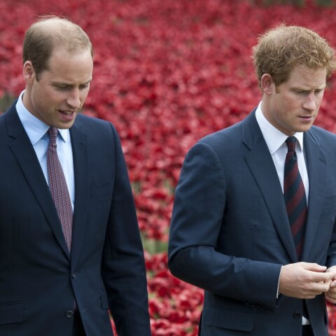 harry, william