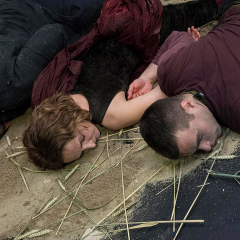 Eximerosi, Stegi Idrimatos Onassi