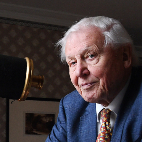 Σερ Ντέιβιντ Ατένμπορο