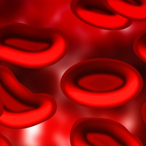 blood-75301_1280.jpg