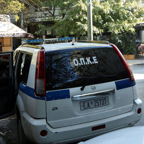 Ελληνική Αστυνομία