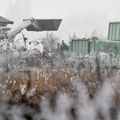 Έλεγχοι για την γρίπη των πτηνών στην Ουγγαρία