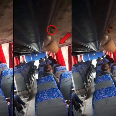 Υiannis Karousos - Γιάννης Καρούσος