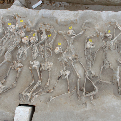 Δεσμώτες του Φαλήρου 