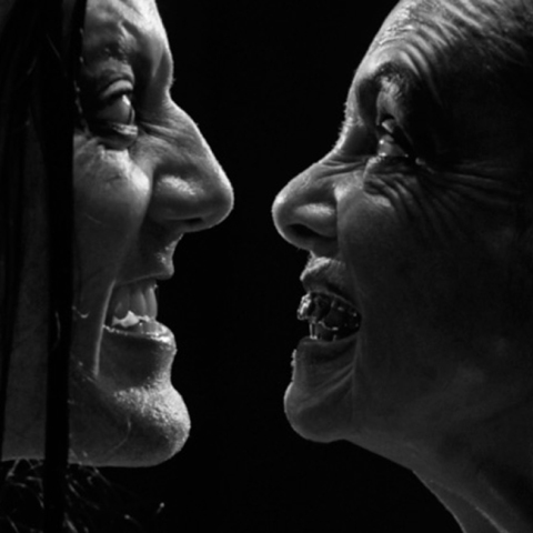 The Queer Archive, The Queer Archive Festival, matt lambert